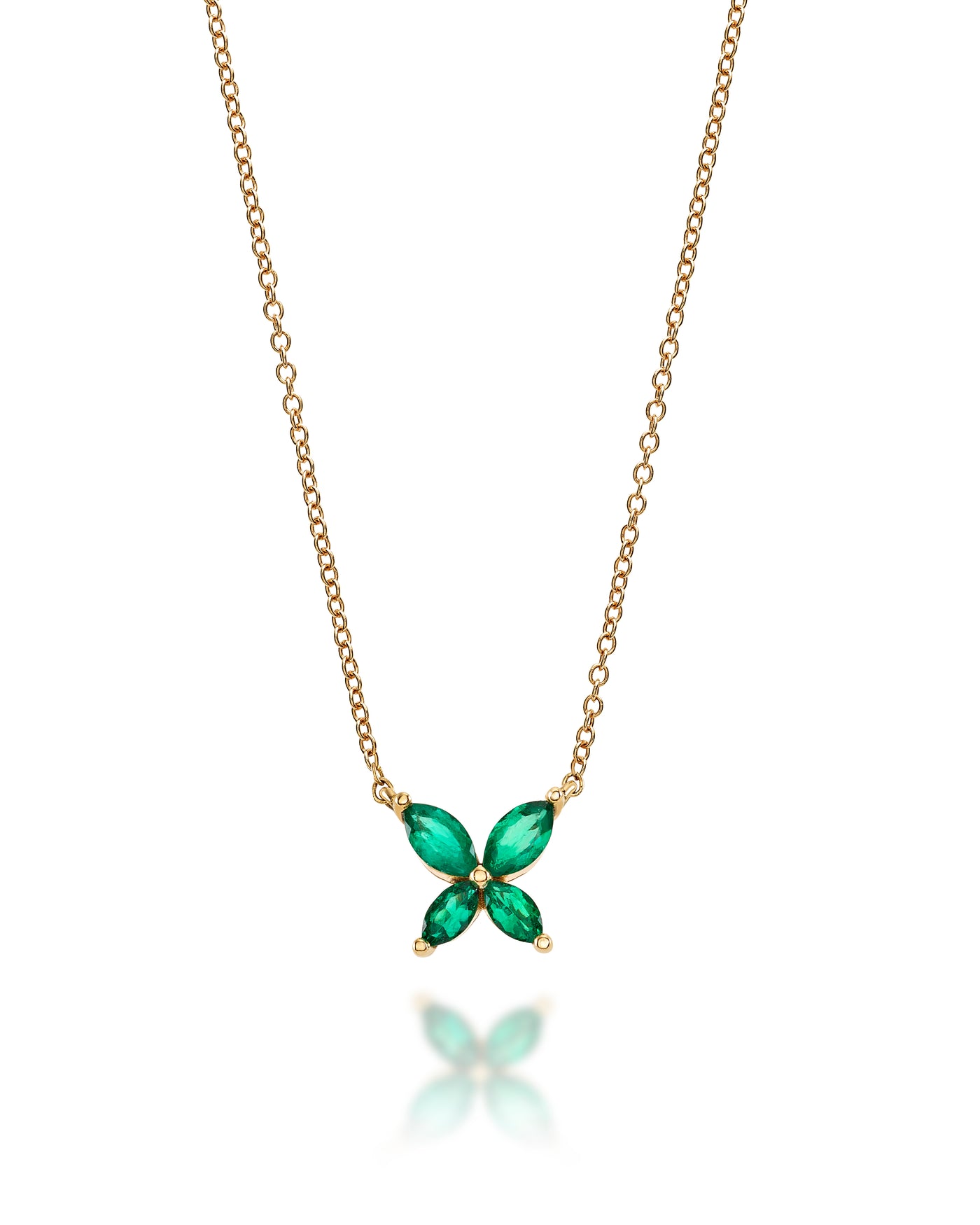 Papillon d'Amour